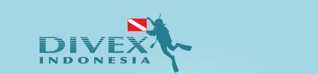 Dive Exploration Indonesia