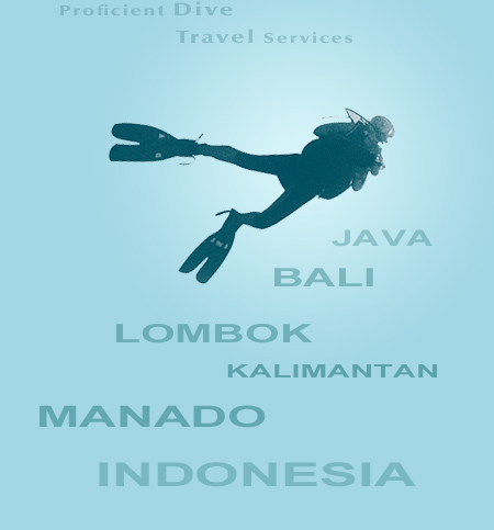 Divex Indonesia Dive Travel